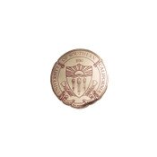 USC Trojans Gold and Cardinal Seal Pin